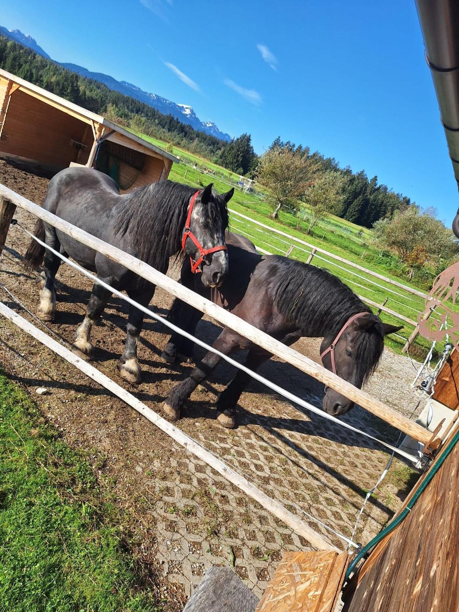 Ferienwohnung Am Wirtshof Siegsdorf Exteriör bild