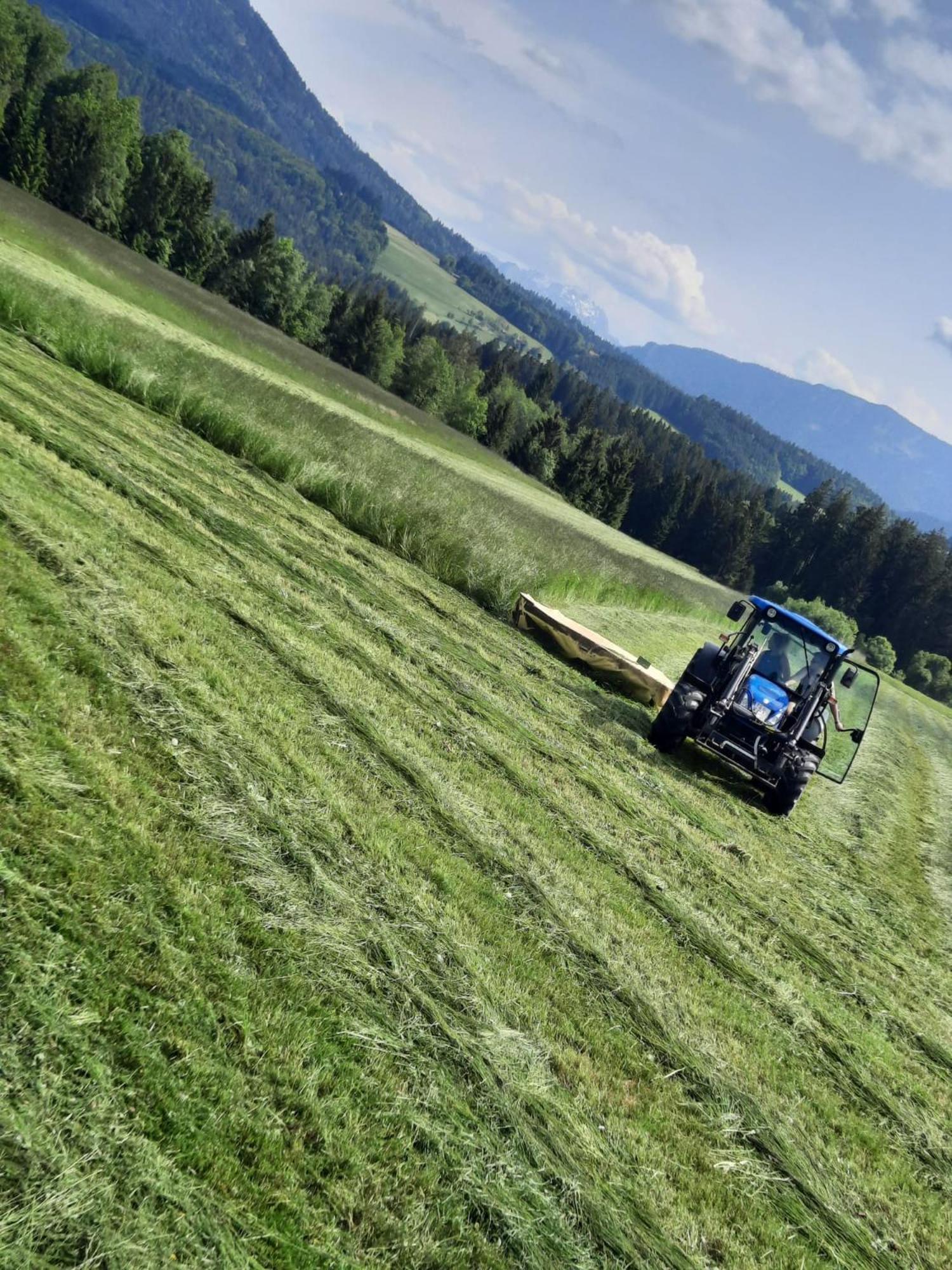 Ferienwohnung Am Wirtshof Siegsdorf Exteriör bild
